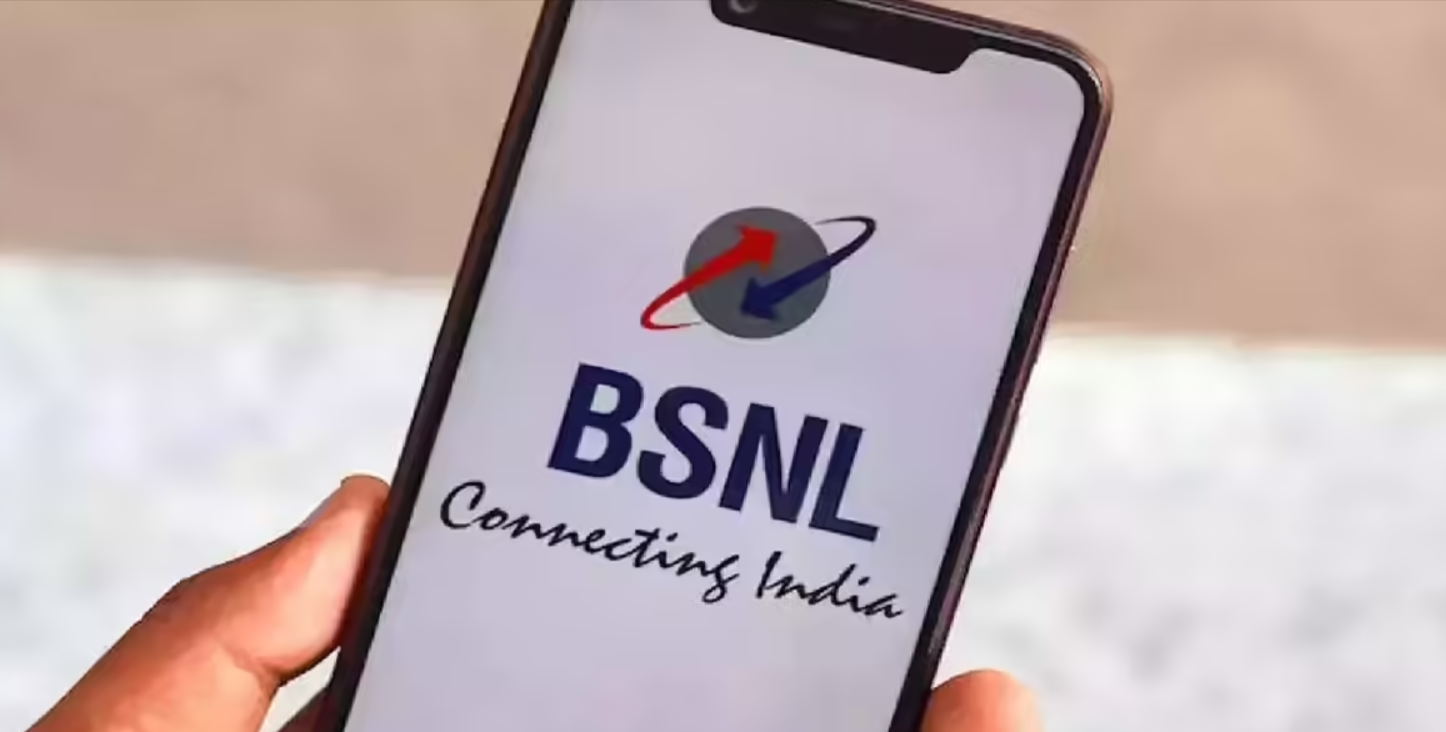 Bharat Sanchar Nigam Limited Net Worth