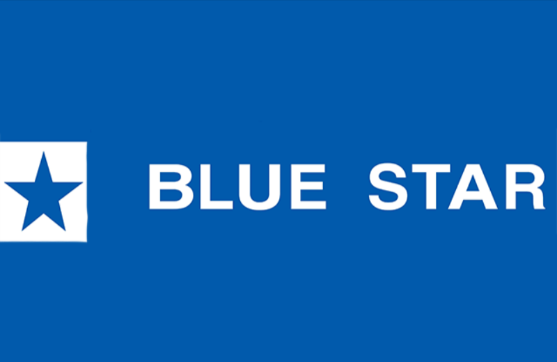 Blue Star Net Worth