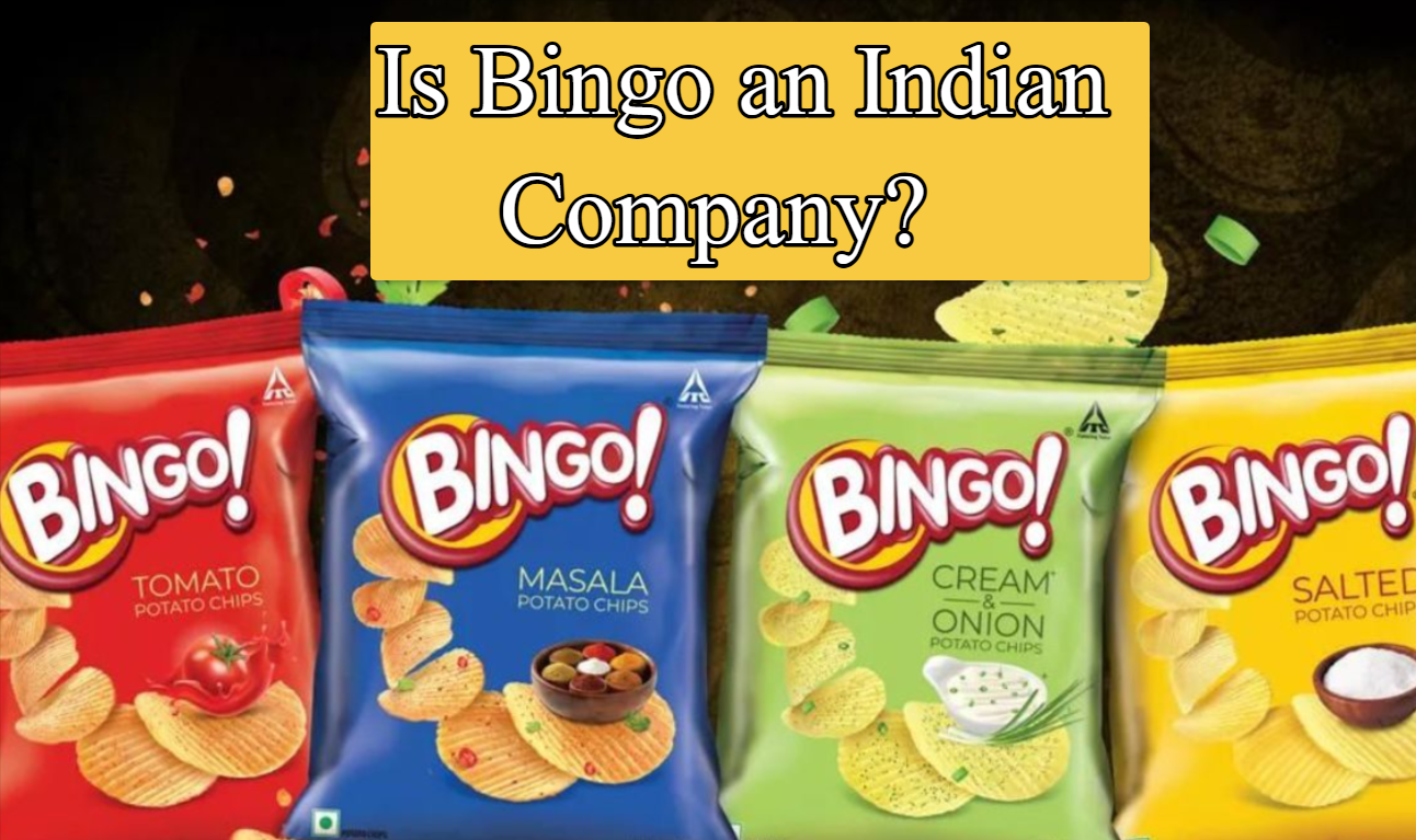 Is Bingo an Indian Company?