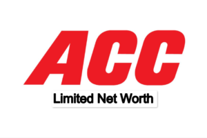 ACC Limited Net Worth