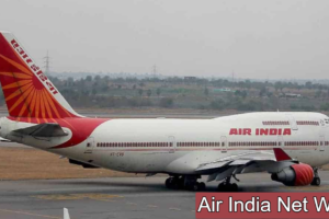 Air India Net Worth