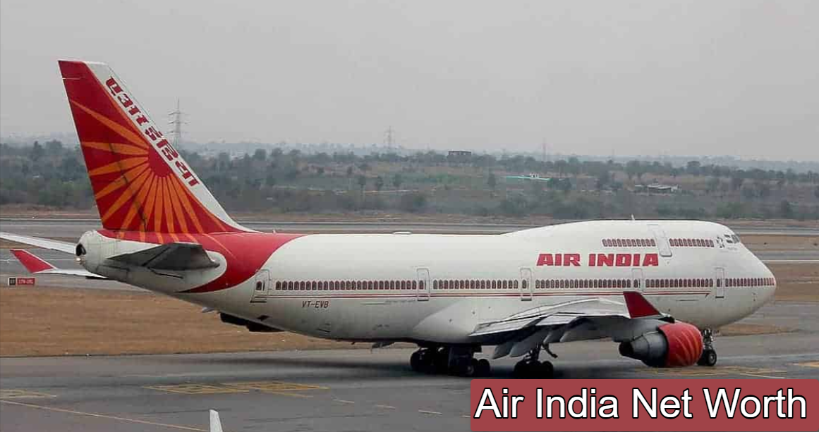 Air India Net Worth