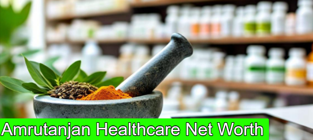 Amrutanjan Healthcare Net Worth