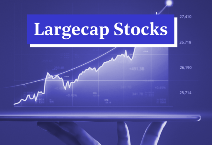 LargeCap Stocks