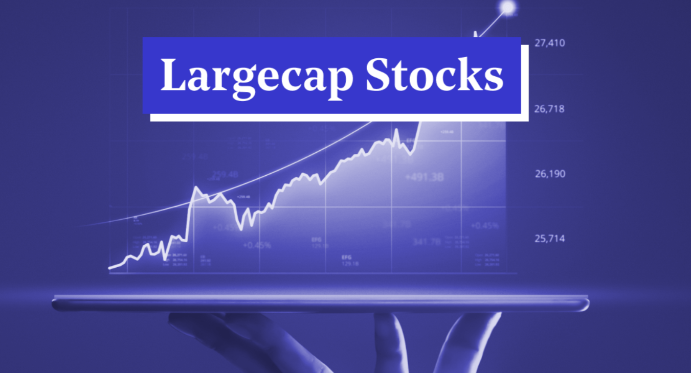 LargeCap Stocks